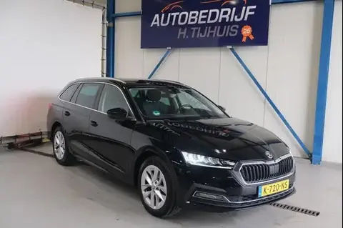 Used SKODA OCTAVIA Petrol 2021 Ad 