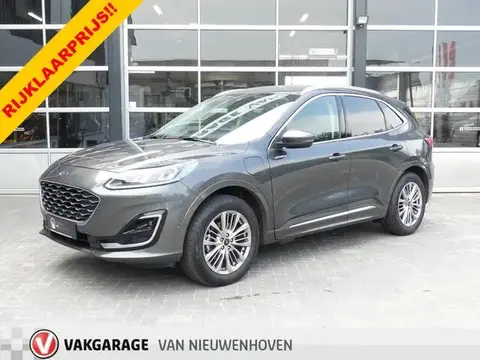 Annonce FORD KUGA Hybride 2021 d'occasion 