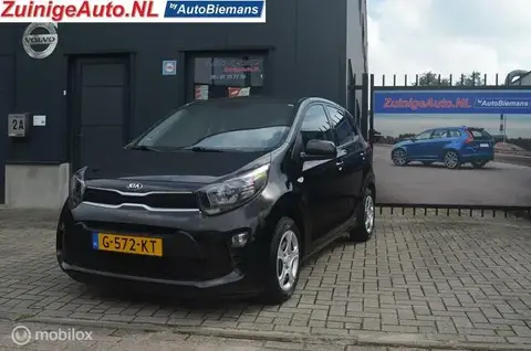 Used KIA PICANTO Petrol 2019 Ad 