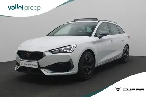 Used CUPRA LEON Hybrid 2022 Ad 