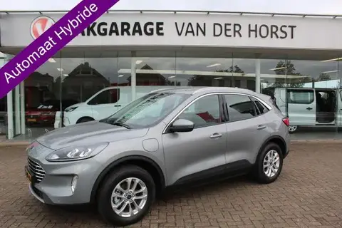 Used FORD KUGA Hybrid 2023 Ad 