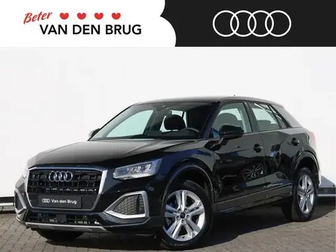 Annonce AUDI Q2 Essence 2024 d'occasion 