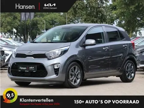 Used KIA PICANTO Petrol 2021 Ad 