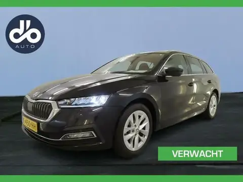 Used SKODA OCTAVIA Petrol 2021 Ad 