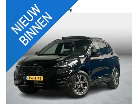 Used FORD KUGA Hybrid 2023 Ad 