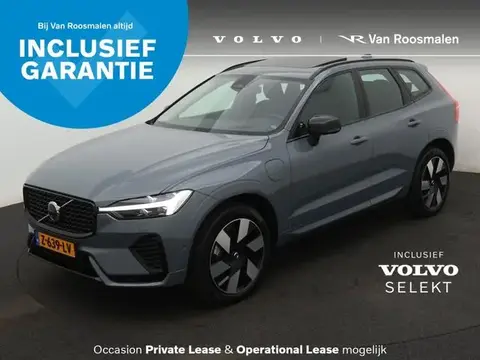 Used VOLVO XC60 Hybrid 2024 Ad 