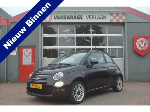 Used FIAT 500 Petrol 2017 Ad 