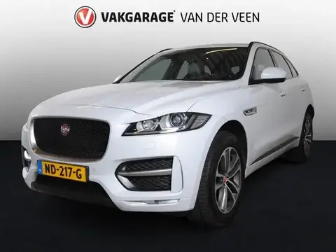 Used JAGUAR F-PACE Diesel 2017 Ad 