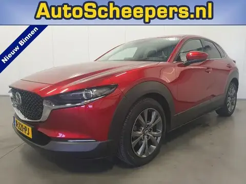 Annonce MAZDA CX-30 Hybride 2020 d'occasion 