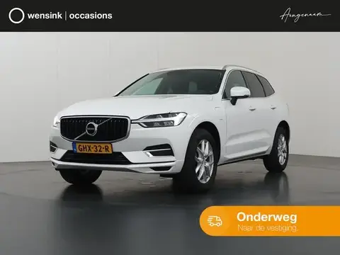 Used VOLVO XC60 Hybrid 2019 Ad 