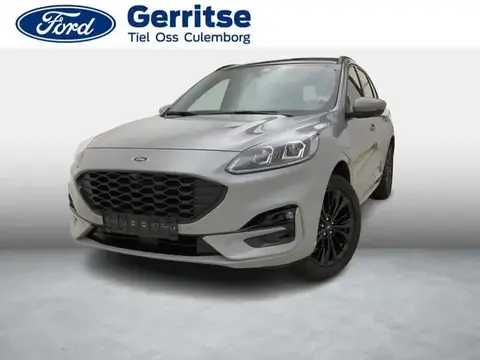 Used FORD KUGA Hybrid 2024 Ad 