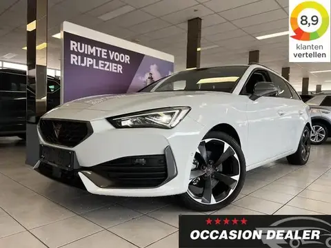 Annonce CUPRA LEON Hybride 2023 d'occasion 