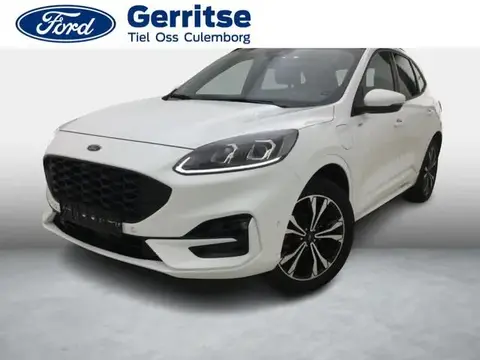 Used FORD KUGA Hybrid 2024 Ad 