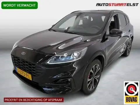 Used FORD KUGA Hybrid 2023 Ad 