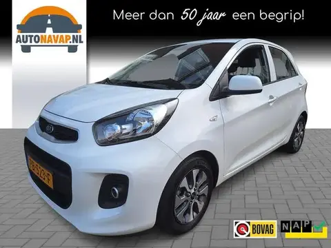 Used KIA PICANTO Petrol 2017 Ad 