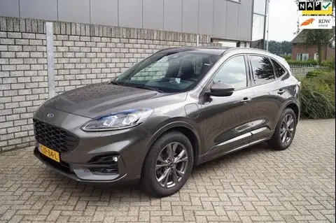 Annonce FORD KUGA Hybride 2020 d'occasion 