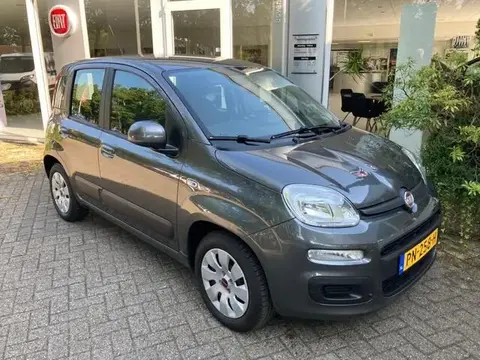 Used FIAT PANDA Petrol 2017 Ad 