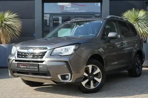 Annonce SUBARU FORESTER Essence 2019 d'occasion 