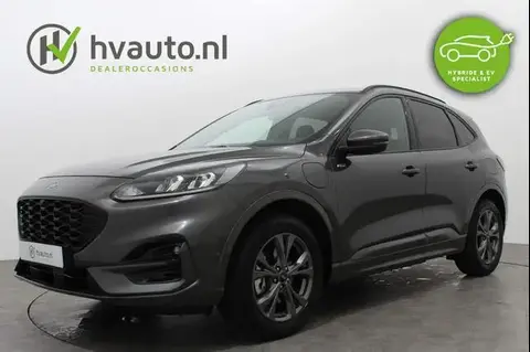 Annonce FORD KUGA Hybride 2023 d'occasion 