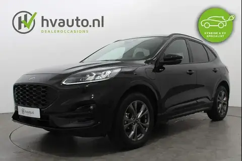 Annonce FORD KUGA Hybride 2023 d'occasion 