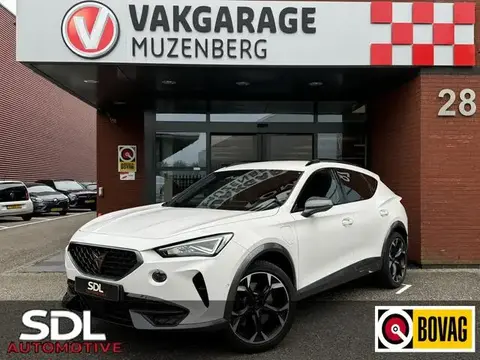 Used CUPRA FORMENTOR Hybrid 2022 Ad 