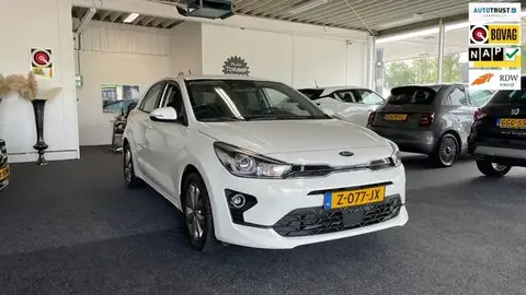 Used KIA RIO Petrol 2022 Ad 