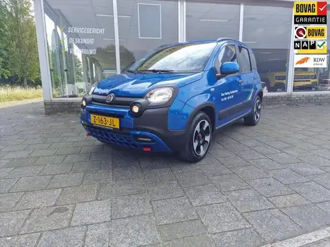 Annonce FIAT PANDA Hybride 2024 d'occasion 