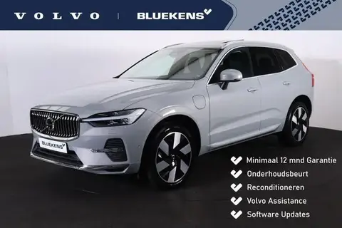 Annonce VOLVO XC60 Hybride 2023 d'occasion 