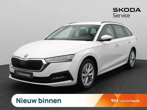 Annonce SKODA OCTAVIA Hybride 2024 d'occasion 