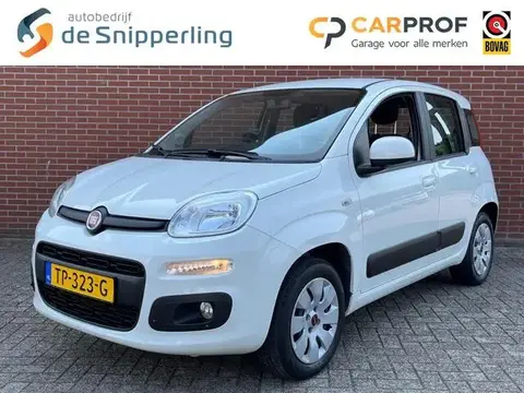 Used FIAT PANDA Petrol 2018 Ad 