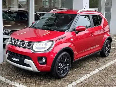 Annonce SUZUKI IGNIS Hybride 2024 d'occasion 