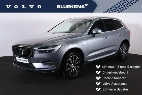 Used VOLVO XC60 Hybrid 2021 Ad 