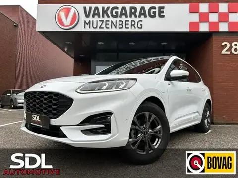 Used FORD KUGA Hybrid 2022 Ad 