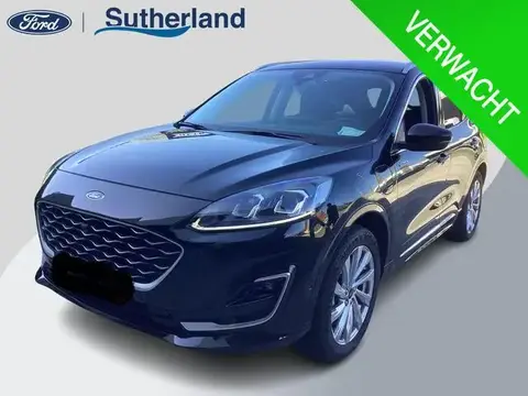 Used FORD KUGA Hybrid 2021 Ad 