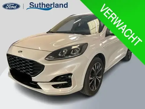 Used FORD KUGA Hybrid 2020 Ad 