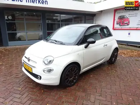 Used FIAT 500 Petrol 2019 Ad 