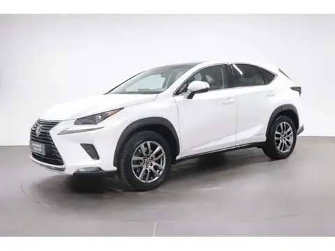 Annonce LEXUS NX Hybride 2018 d'occasion 