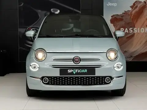 Used FIAT 500 Petrol 2023 Ad 