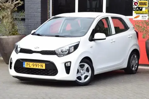 Annonce KIA PICANTO Essence 2017 d'occasion 