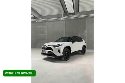 Used TOYOTA RAV4 Hybrid 2024 Ad 