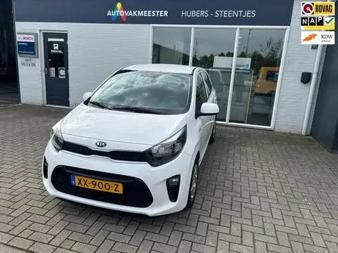 Annonce KIA PICANTO Essence 2019 d'occasion 