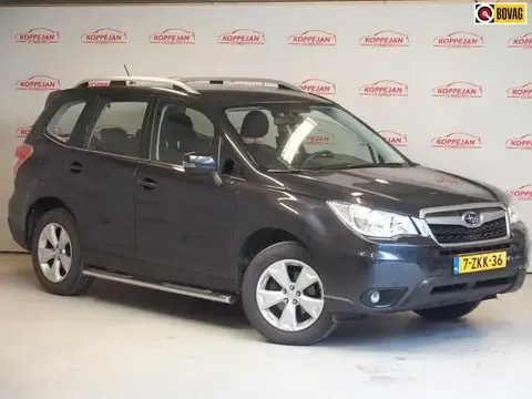 Used SUBARU FORESTER Petrol 2015 Ad 