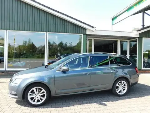 Used SKODA OCTAVIA Petrol 2019 Ad 