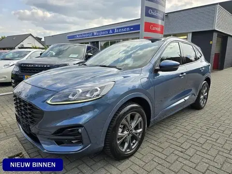 Used FORD KUGA Hybrid 2022 Ad 