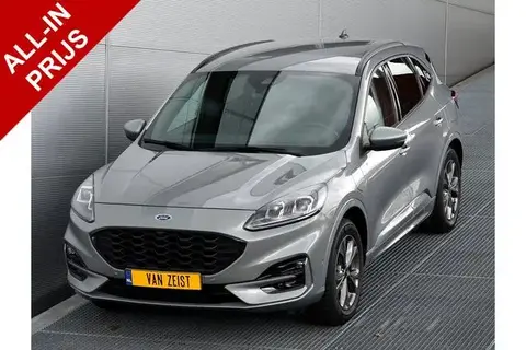 Used FORD KUGA Hybrid 2022 Ad 