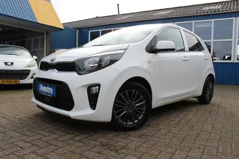 Used KIA PICANTO Petrol 2019 Ad 