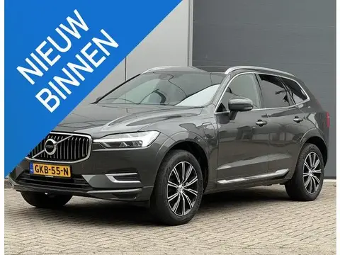 Annonce VOLVO XC60 Hybride 2021 d'occasion 