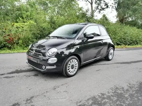 Used FIAT 500 Petrol 2023 Ad 