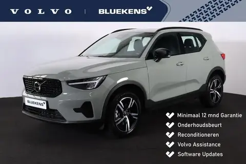 Used VOLVO XC40 Hybrid 2024 Ad 