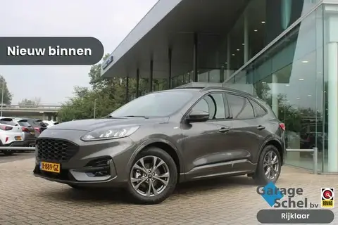 Annonce FORD KUGA Essence 2022 d'occasion 